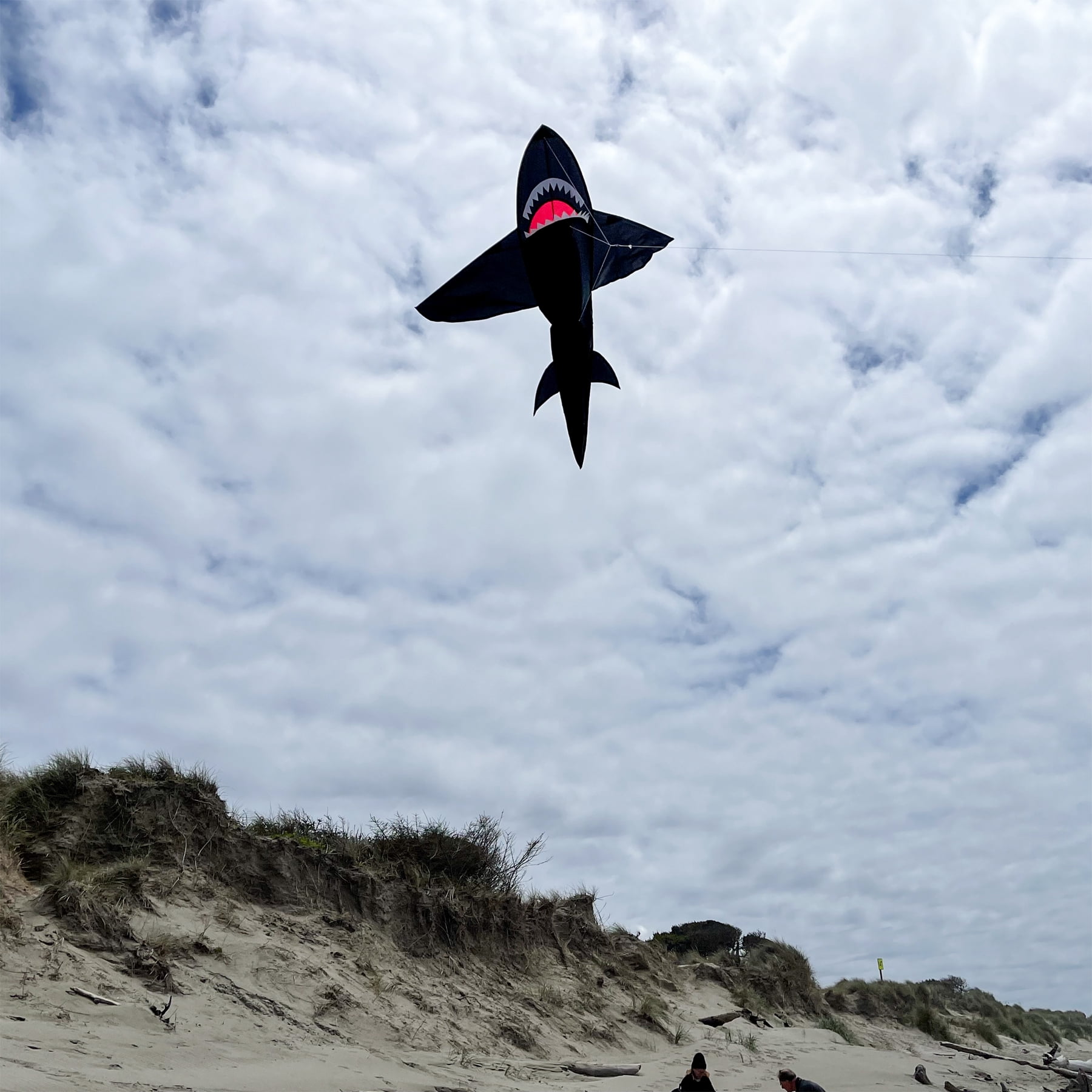 In the Breeze 3343 — 5' Black 3D Shark Kite — Fun Easy Flying Single-Line Sea Life Kite for All Ages