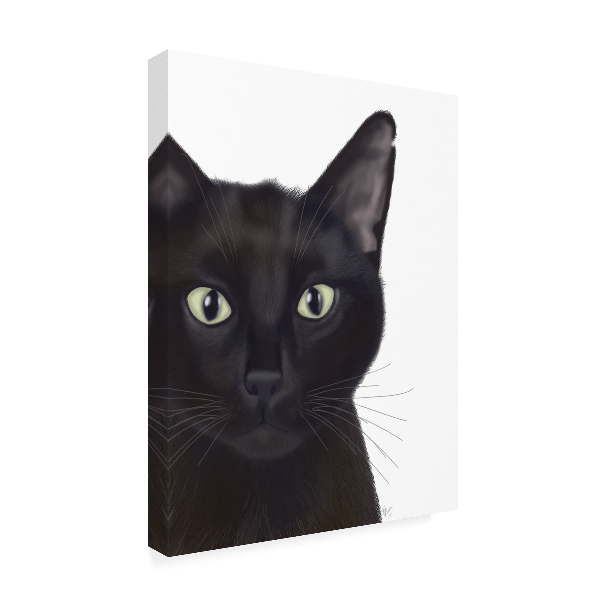 Trademark Fine Art 'Cat, Portrait Of Gus' Canvas Art by Fab Funky