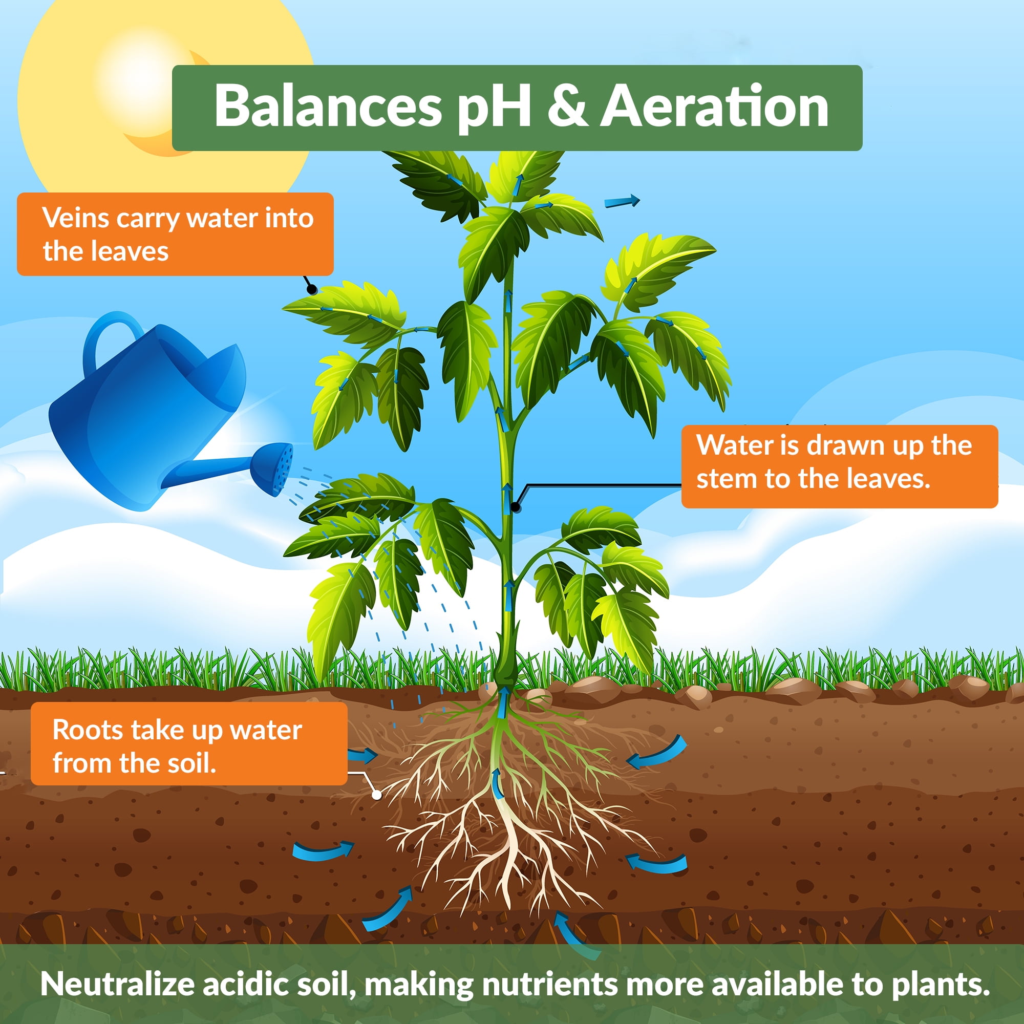 Premium Biochar Soil Enhancer – 100% Organic Charcoal Amendment for Improved Soil Health and Plant Growth 20 lbs