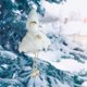 thumbnail image 1 of Colgante Muñeca Angelito Ganfancp Muñeca de peluche Adornos de Navidad, 1 of 6