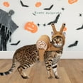thumbnail image 5 of Halloween Dog Costume,Snail Cosplay Pet Costume,Funny Cat Festival Party Cosplay Clothing,Christmas Cat Dog Dress Up Outfit for Puppy Small Medium Dog S, 5 of 7