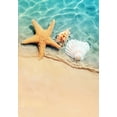 thumbnail image 2 of Star Fish and Shell Coastal Beach Theme Indoor Outdoor Area Rug 4'x5' No-Slip Washable Patio Deck Backyard Balcony Floor Carpet Livingroom Bedroom Kitchen Rug Mat, 2 of 6
