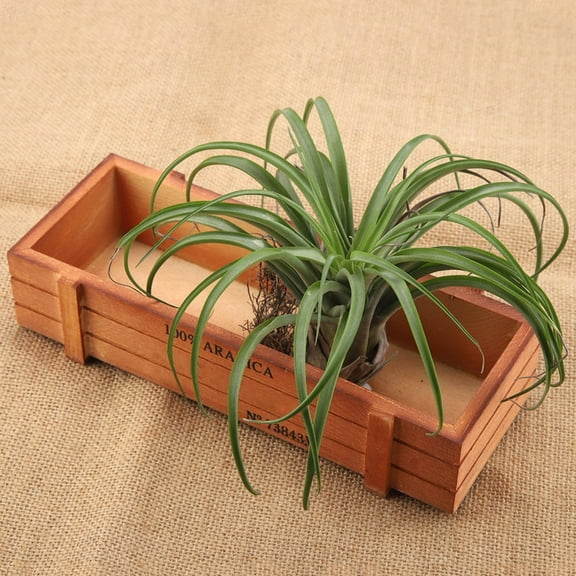 BORDSTRACT Vintage Wood Flower Planter Succulent Pot Rectangle Box 8.9*3.9*1.9in