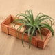 thumbnail image 5 of Macetero de Flores ANGGREK Caja Rectangular Bandeja de Almacenamiento de Escritorio, 5 of 7