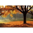 thumbnail image 3 of Jones, Mike 18x13 Black Modern Framed Museum Art Print Titled - Autumn, 3 of 5