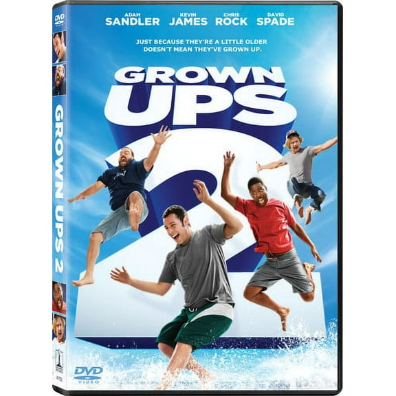 Grown Ups 2 (DVD)