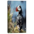 thumbnail image 2 of Cute Puffin Relaxing - Animal Art Painting, 2 of 3