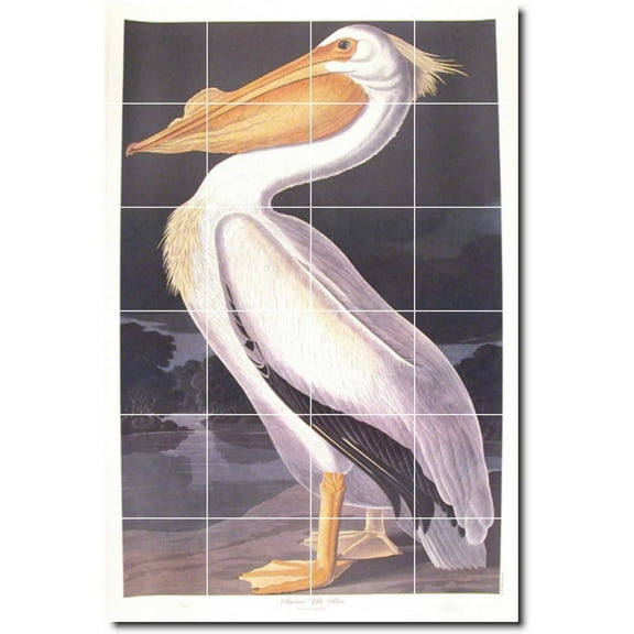 Ceramic Tile Mural-John Audubon Birds Painting 29. 17" w x 25.5" h using (24) 4.25 x 4.25 ceramic tiles