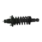 honda civic suspension strut and coil spring assembly