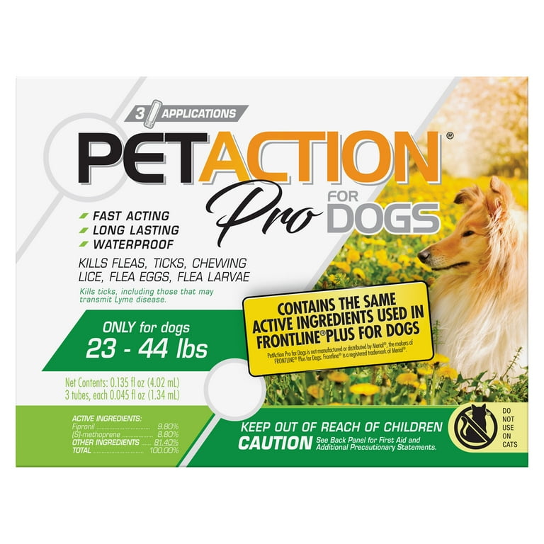 Does Cold Kill Dog Lice