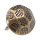 thumbnail image 4 of Uxcell Clavos de empuje de 11 mm de diámetro de cabeza, tono bronce, 130 piezas, 4 of 5