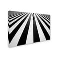 thumbnail image 2 of Trademark Fine Art 'Black And White' Canvas Art by Kouji Tomihisa, 2 of 3
