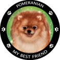 thumbnail image 1 of Pomeranian My Best Friend Magnet, 1 of 3