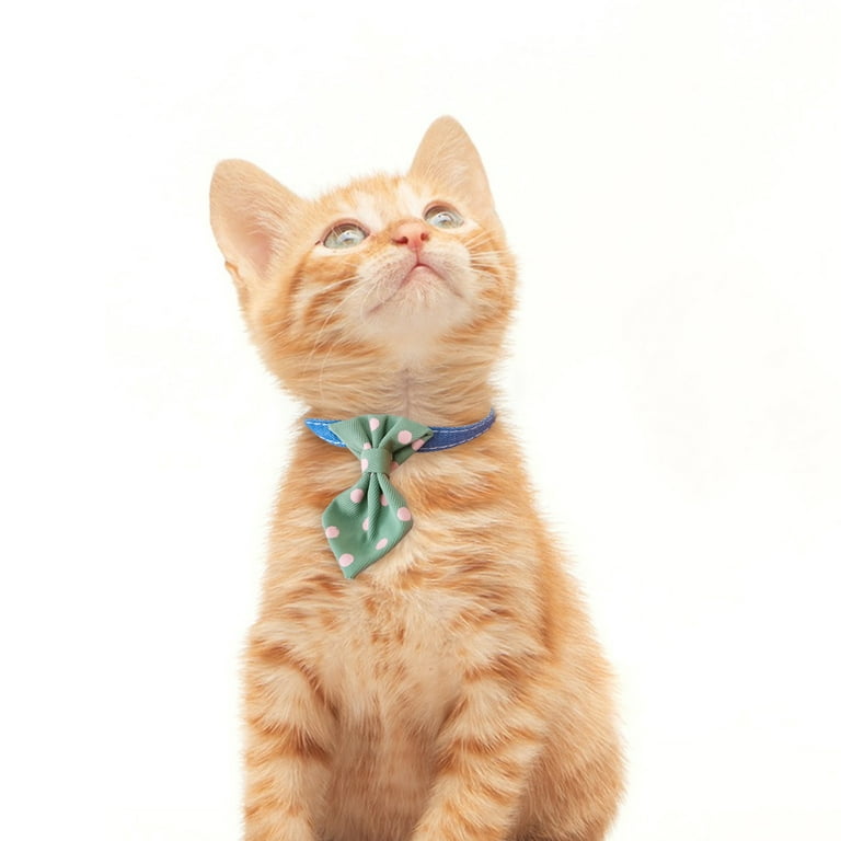 Dotty Print Safety Collar for Cats
