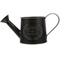 TAILTOSS 1Pack Metal Watering Pot for Indoor Plants Simple Design Galvanized Iron 6.3x4.2x4.2in