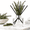 Balsam Fir, variant on Flower Reed Diffuser Set Series Moss & Sea Salt Scent For Bathroom Accessories Shdecor Air Fresheners Sticks Defusers With 5.1 Fl