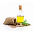 thumbnail image 4 of Aceite Dr. Joe Lab de semillas de camelia 100% puro, 240 ml, para piel y cabello, 4 of 9