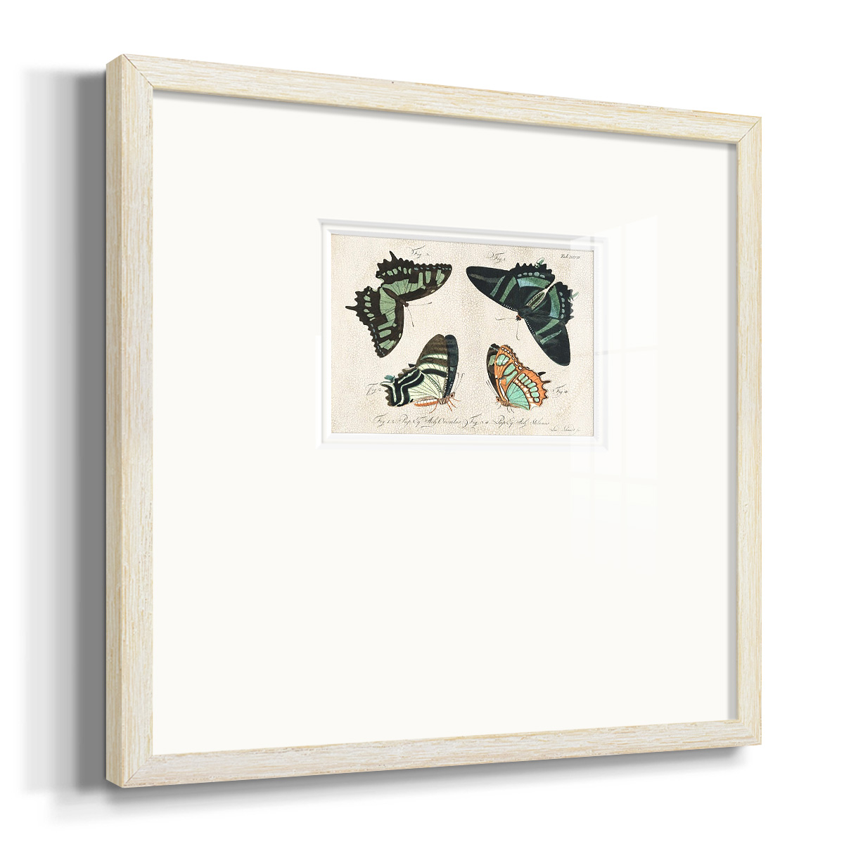 Crackled Butterflies IIIPremium Framed Print