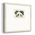 thumbnail image 2 of Crackled Butterflies IIIPremium Framed Print, 2 of 5