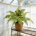 thumbnail image 4 of Artificial Greenery Wall Panel 23.62In Authentic Foliage Detail Long Lasting Fresh Look Safe Gentle Material Build for Indoor Outdoor Home Table Store Hallway Vase Combination Decor, 4 of 6