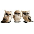 thumbnail image 1 of Gadgetvlot 3PCS Forest Mini Owl Microscopic Gardening Decoration Animal Model Simulation Miniature Landscape Decoration Decoration, 1 of 8