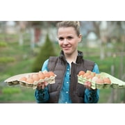 Vibrant Life Egg Cartons, Natural Pulp Paper Material, Holds 12 Eggs