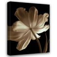 thumbnail image 1 of Charles Britt 33x44 Gallery Wrapped Canvas Wall Art Titled - Champagne Tulip II, 1 of 4