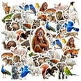 thumbnail image 3 of 35pcs Realistic Animal Kids Stickers Lovely Children Stickers DIY Stickers for Laptops Suitcase, 3 of 9
