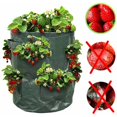 thumbnail image 5 of G Need Sac à Fraises - Sac de Plantation Compatible avec les Fraises - X2, 5 of 5