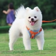 thumbnail image 5 of Pet Chest Harness Suede Cat and Dog Harness Reflective and Breathable Dog Rope Dog Leash, 5 of 5