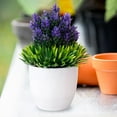 thumbnail image 5 of 2PCS Artificial Potted Small Greenery,Realistic Mini with Flowers for Indoor Home Decor,Desktop Table Centerpiece for Bathroom,Farmhouse Displays,Mother's Day,Christmas Gifts, 5 of 6