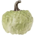 thumbnail image 2 of Northlight Décoration de Récolte d'Automne Citrouille Texturée - 5.5 Pouces - Vert, 2 of 6