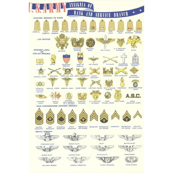 Art.com US Army Rank and Service Insignia Art Print, 24" x 36"