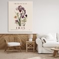 thumbnail image 3 of Stupell Industries Scandinavian Natural Iris Bundle Canvas Art, 36 x 48, by Christopher Giampietro, 3 of 8