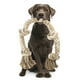 thumbnail image 1 of Juguete de cuerda para perros PetiFine para perros grandes que mastican agresivamente, 1 of 6