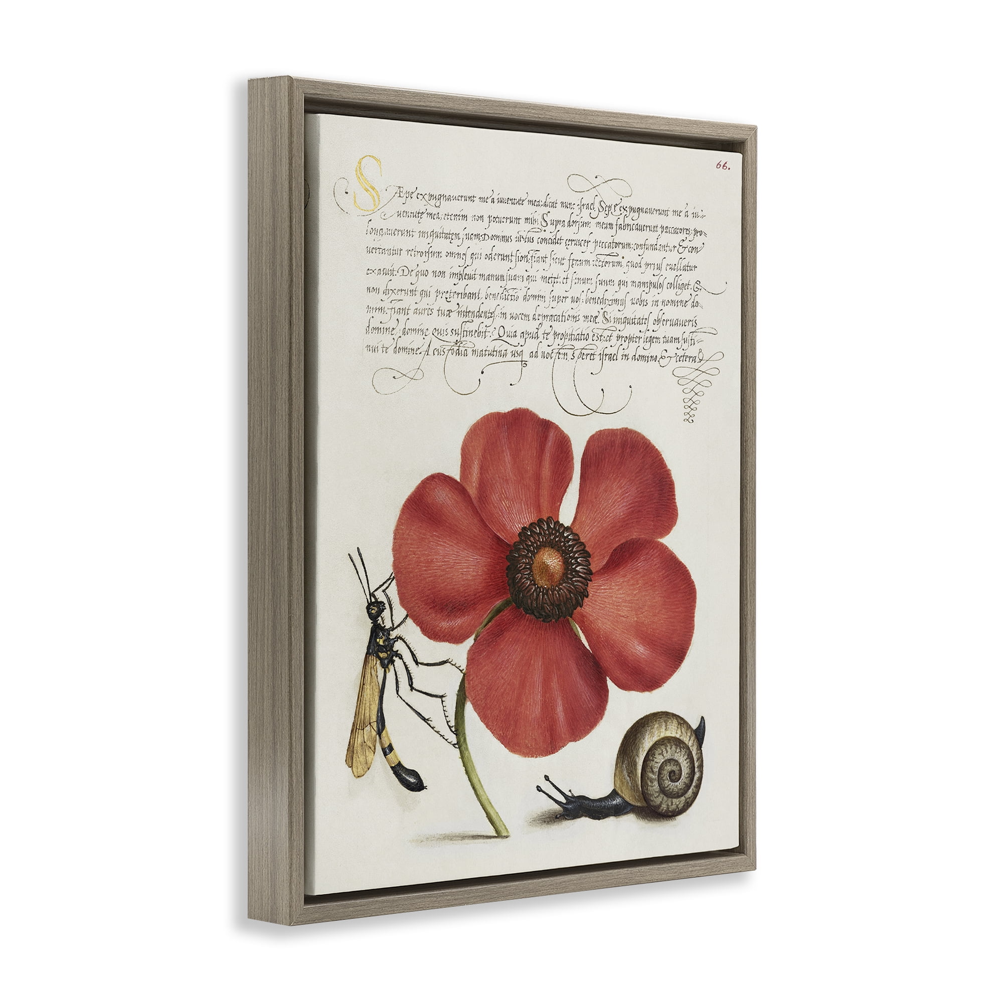 Stupell Industries Vintage Insects on Flower Text & Numbers Painting Brown Floater Framed Canvas Art Print Wall Art, 17 x 21