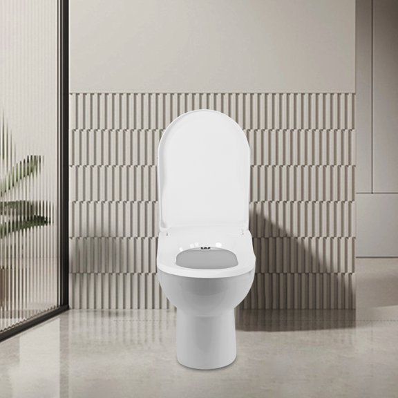 18.9*13.7 Round Toilet Bidet Rear Non-electric Dual Nozzle Toilet Seat Attachment White