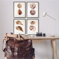 thumbnail image 2 of Stupell Industries Elegant Beach Seashells Exquisite Marine Life ,16 x 20, Design by Annie Warren, 2 of 5