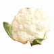 thumbnail image 5 of Modelo de simulación de brócoli artificial realista. Brócoli blanco, 5 of 8