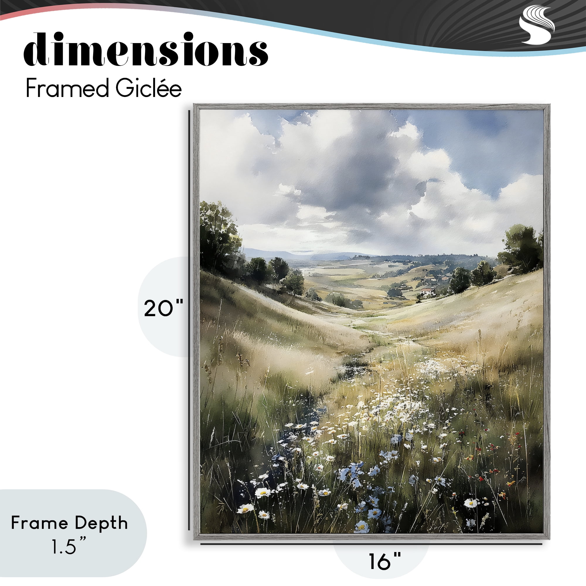 Stupell Industries Floral Valley of Wild Daisies Gray Framed Giclee Art, design by Franklyn Gregory