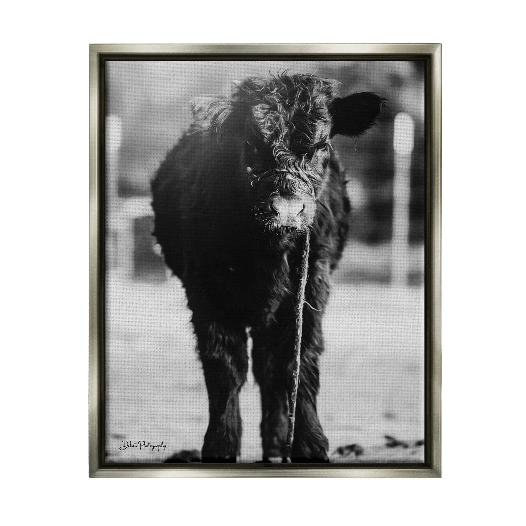 Stupell Industries Baby Cattle Calf Grazing Rural Farm Photography Photograph Luster Gray Floating Framed Canvas Print Wall Art, Design by Dakota Diener