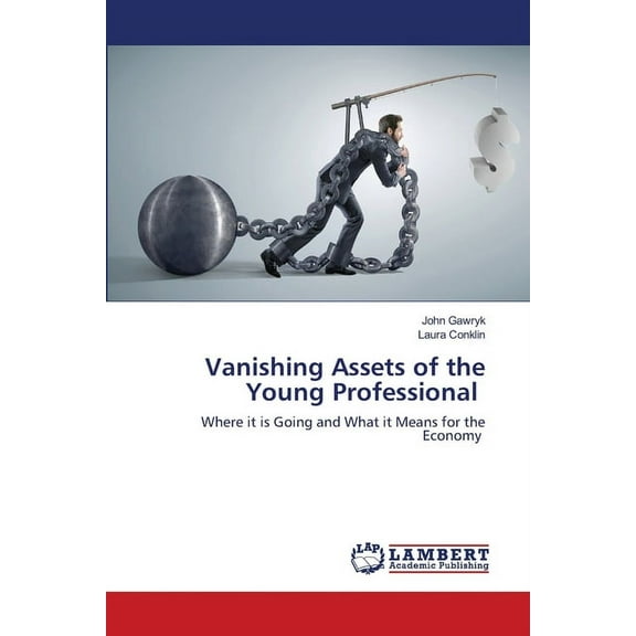 Vanishing Assets of the Young Professional (Paperback)