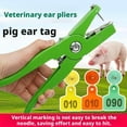 thumbnail image 3 of 100 Pcs Animal ear tags with words, 3 of 6