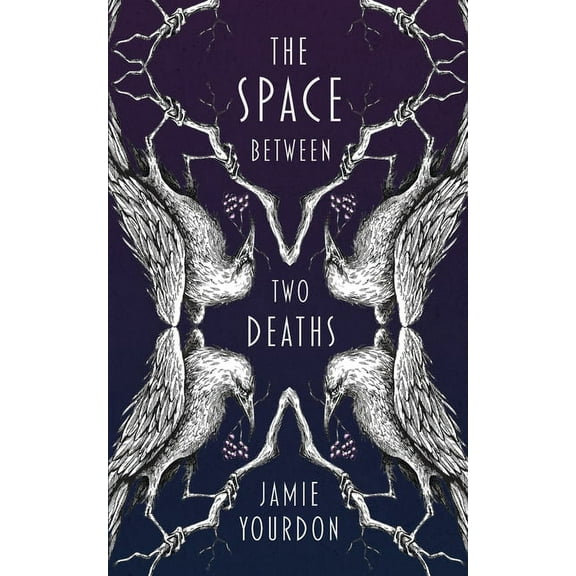 The Space Between Two Deaths (Paperback)