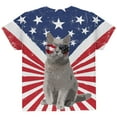 thumbnail image 2 of 4th Of July Meowica America Patriot Cat All Over Youth T Shirt Multi YMD, 2 of 2