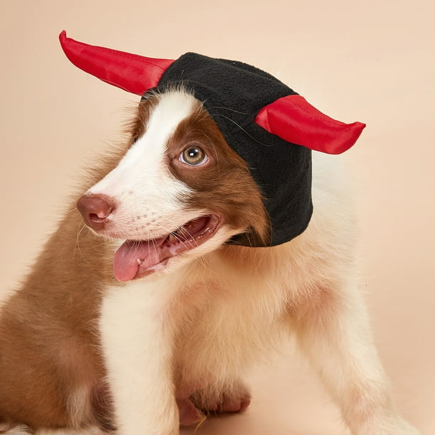 Dog sales hats canada