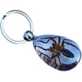 thumbnail image 2 of Trendy Zone 21 Keychain with Brown Spider Resin Key Ring| Key Chain Oval Shape Creative 2” Spider Keychain for Men & Women, Spider Keyring || 2” Pendant Height|Clear Background, 2 of 5