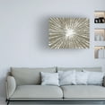 thumbnail image 3 of Studio W 'White Burst III' Canvas Art, 3 of 3
