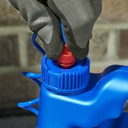 BioAdvanced Brush Killer Plus, Ready-to-Use, 1 gal, Kills Poison Ivy, Blackberry, Kudzu and more