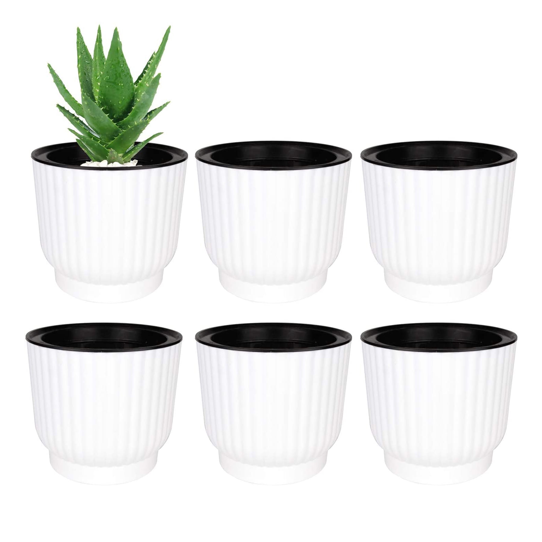 T4U 4.5' x 4.5' x 4.5' Oval White Plastic Plant Pot (6 Pieces)